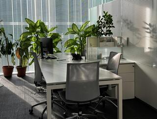 Primitive Office Valencia